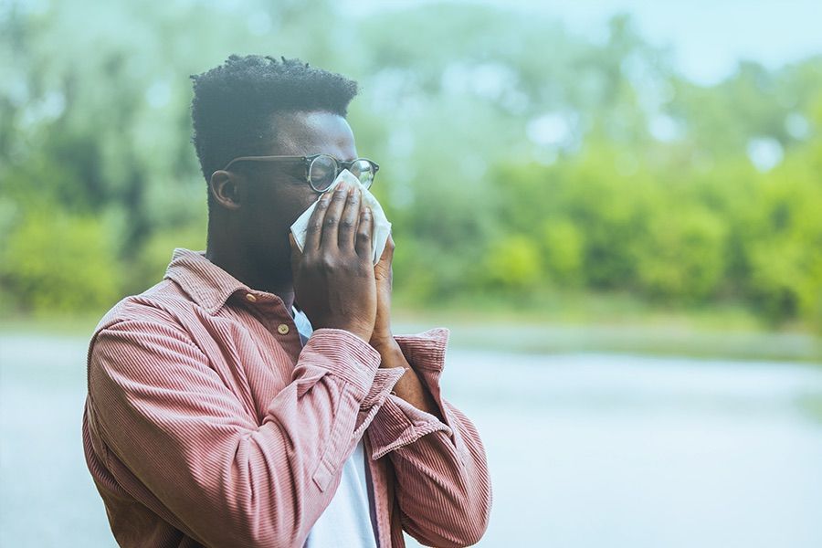 Seasonal Allergy Trends: What Data Tells Us