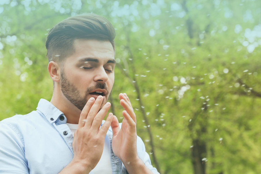 Choosing Your Allergy Drops: Quello, Curex, and Wyndly Compared