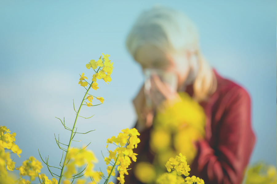 Allergy Trends by Region: Your Guide to the Worst Cities and States for Allergies