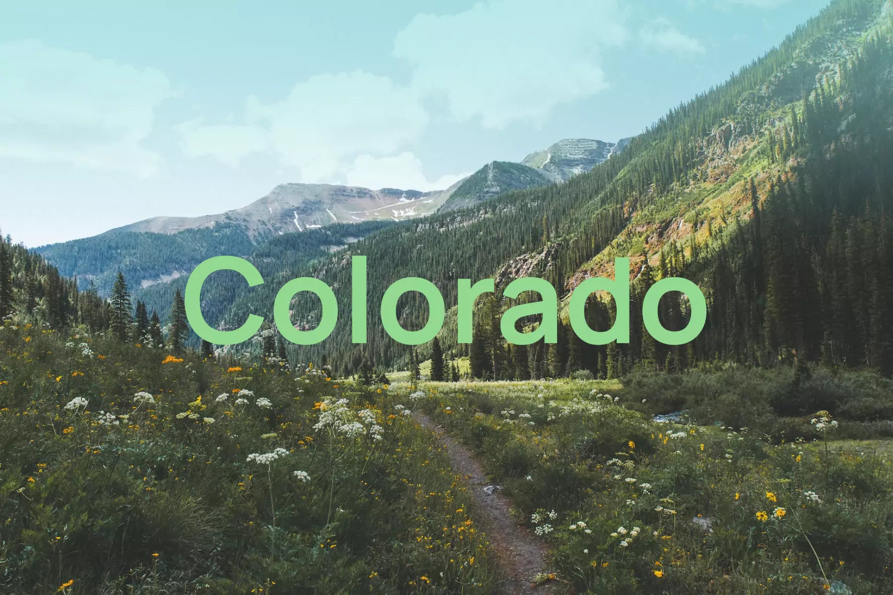 How To Overcome Colorado Allergy Season