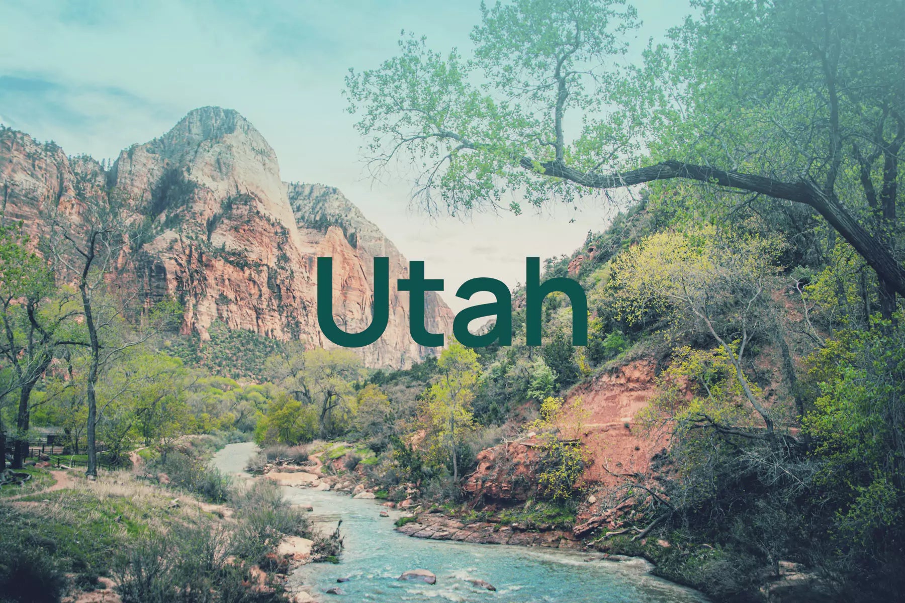 Everything You Need to Know About Utah Allergy Season