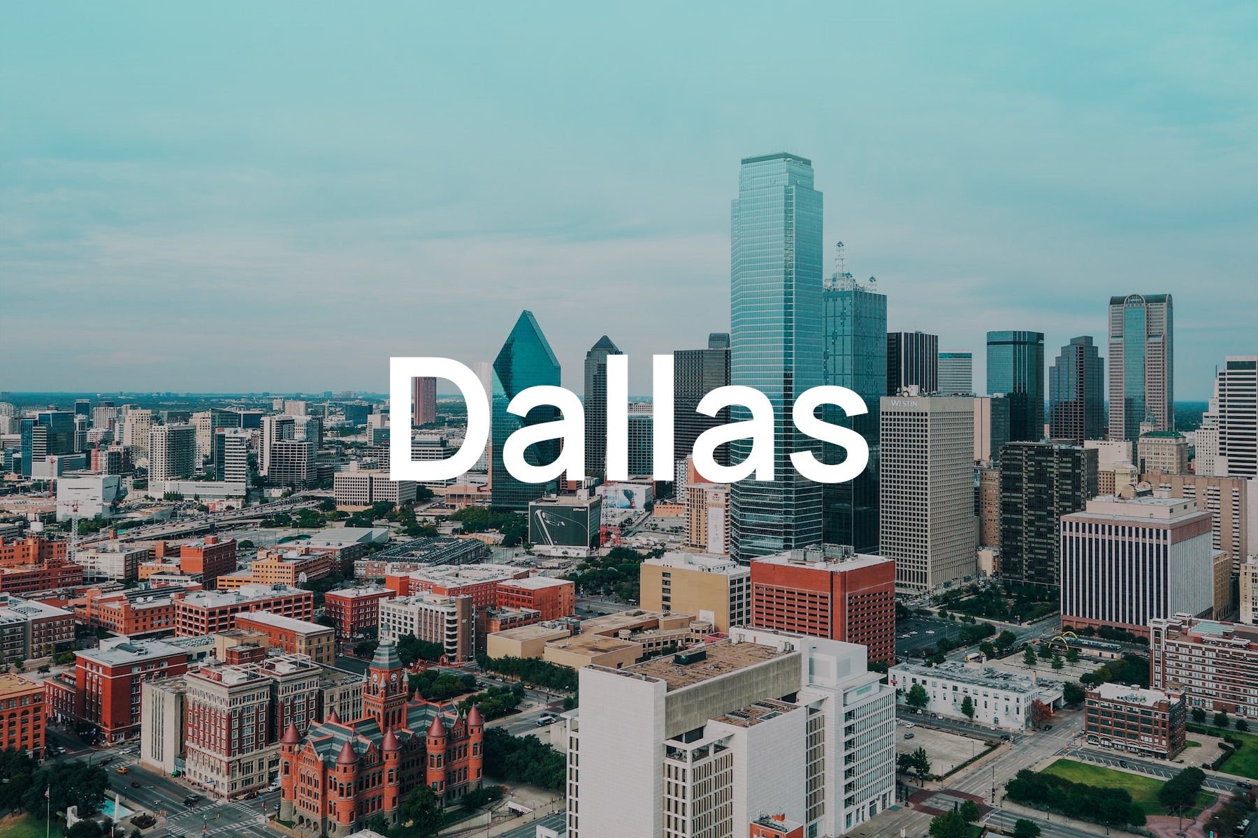 Are You Concerned About Pollen Allergies in Dallas?