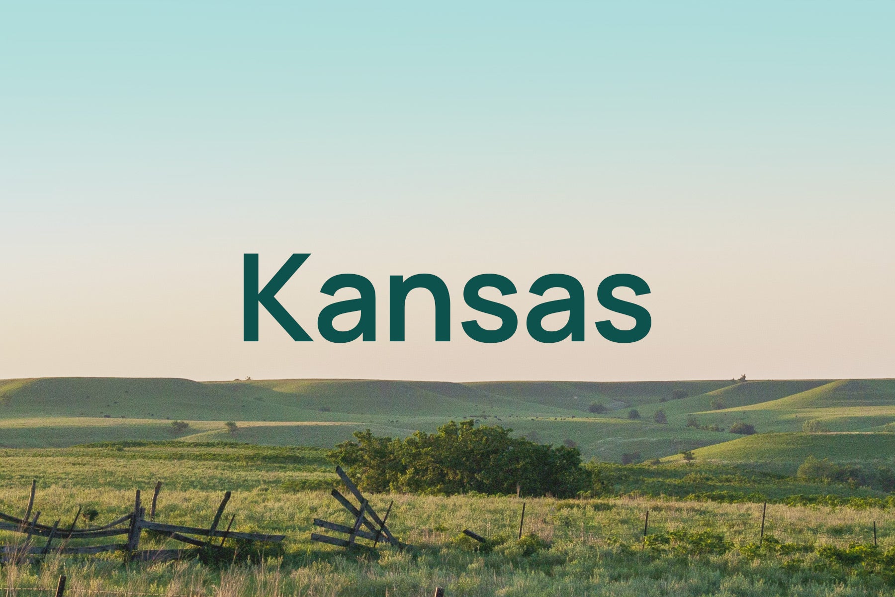 Is Kansas Allergy Season A Cause For Concern?