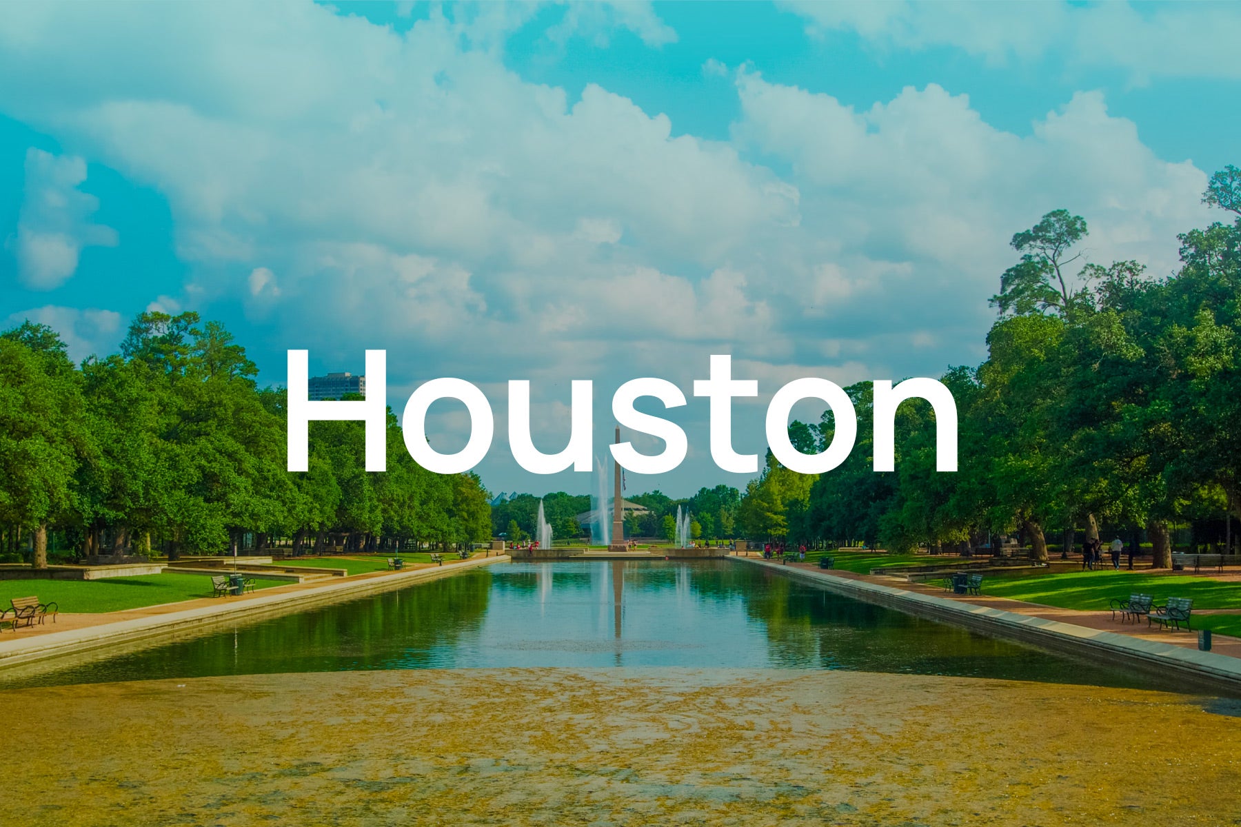 What You Don’t Know About Pollen Allergies in Houston