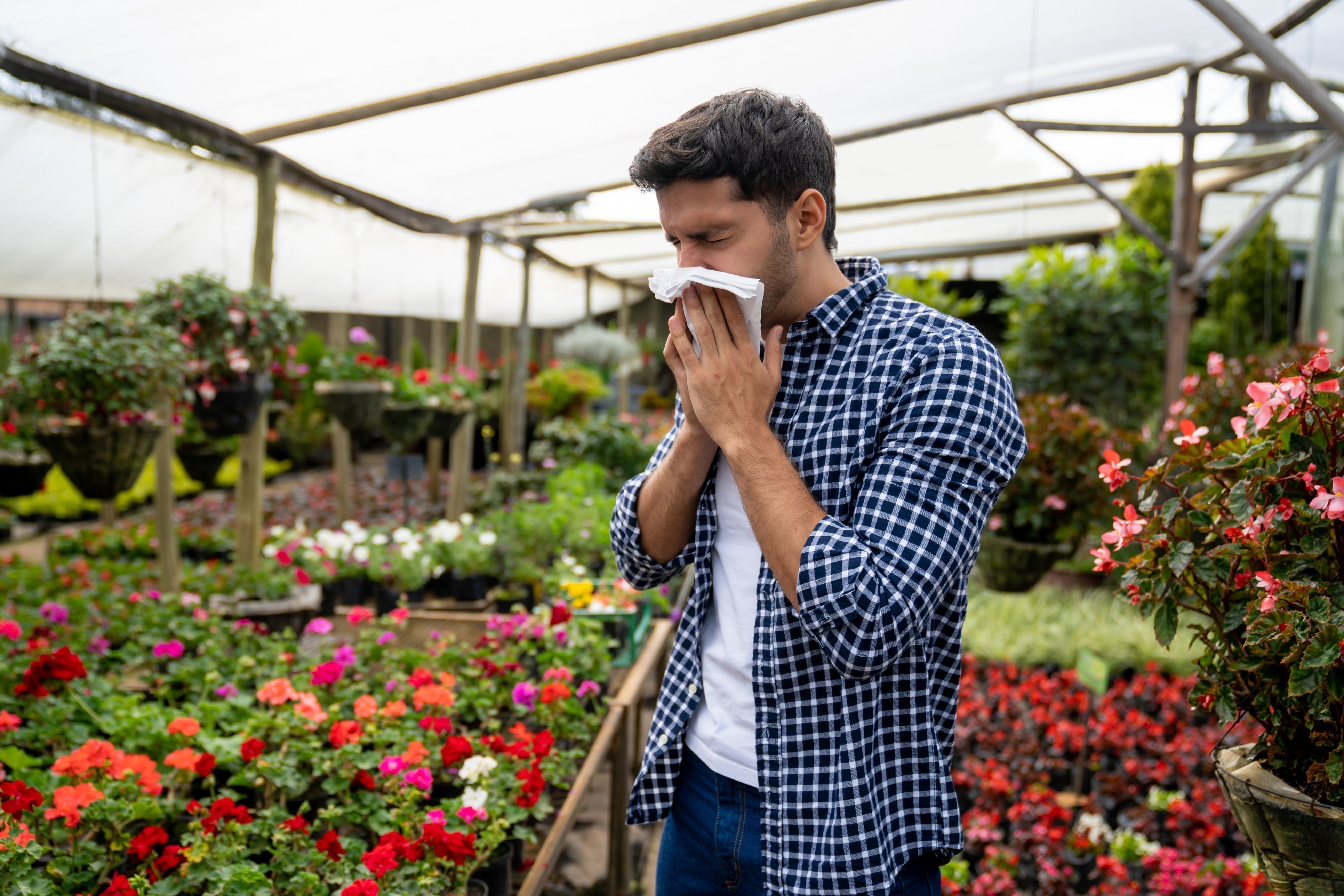 How to Manage Spring Allergies