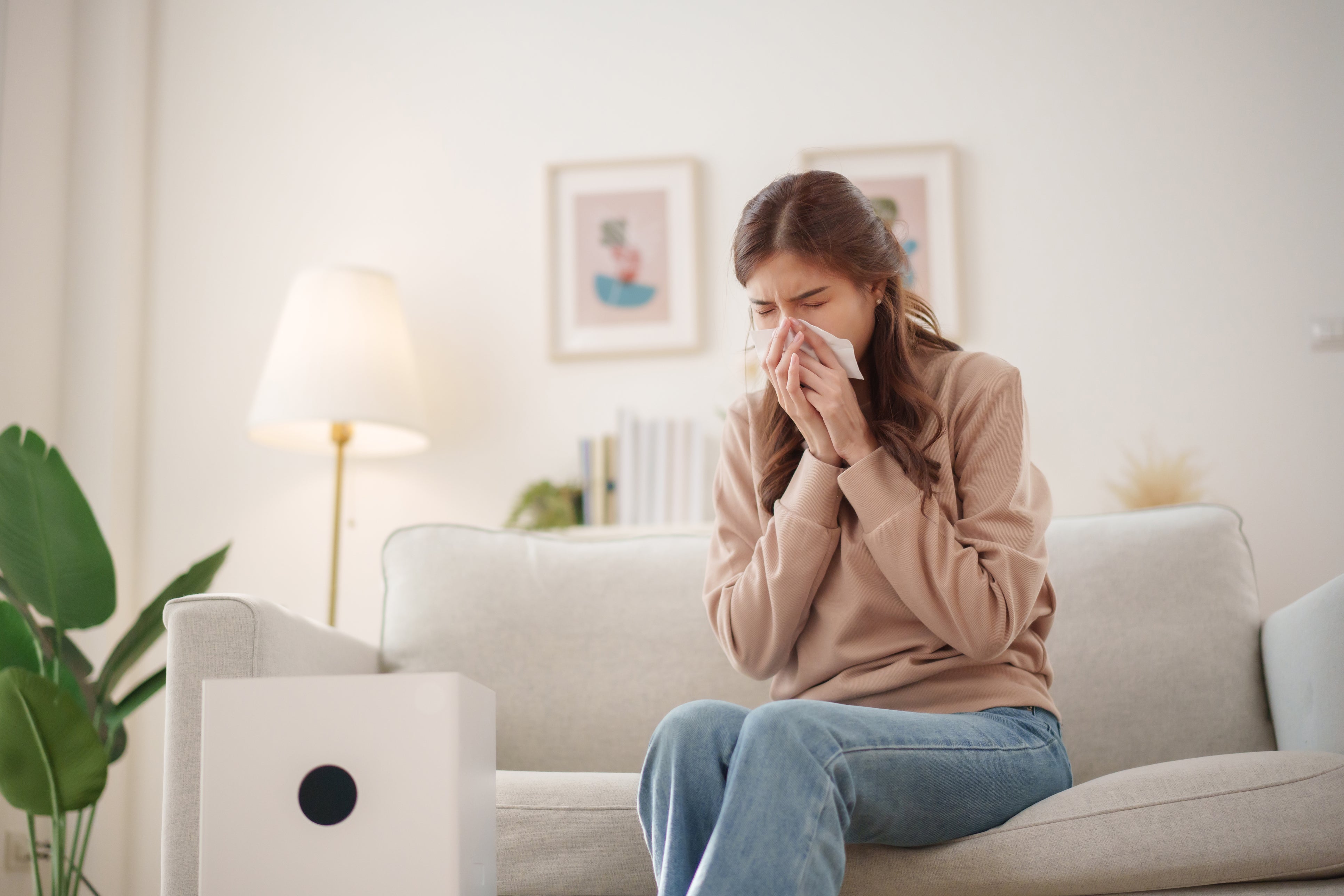 5 Best Air Purifiers For Allergies