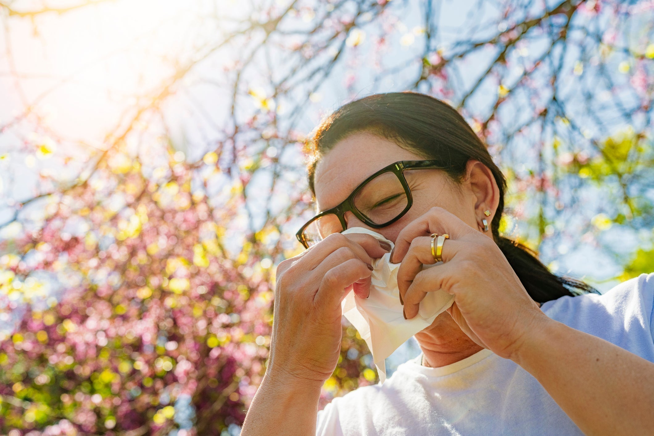 Pollen Season Guide: Everything You Need to Know to Survive Pollen Season