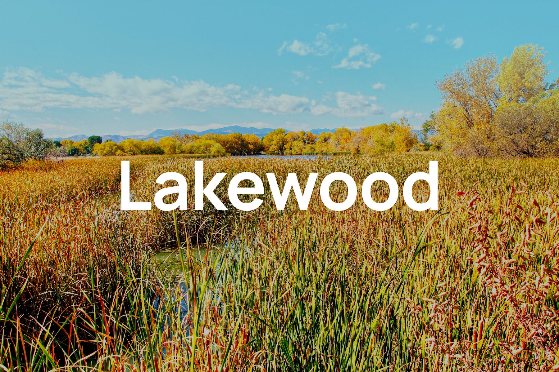 Managing Pollen Allergies in Lakewood, Colorado
