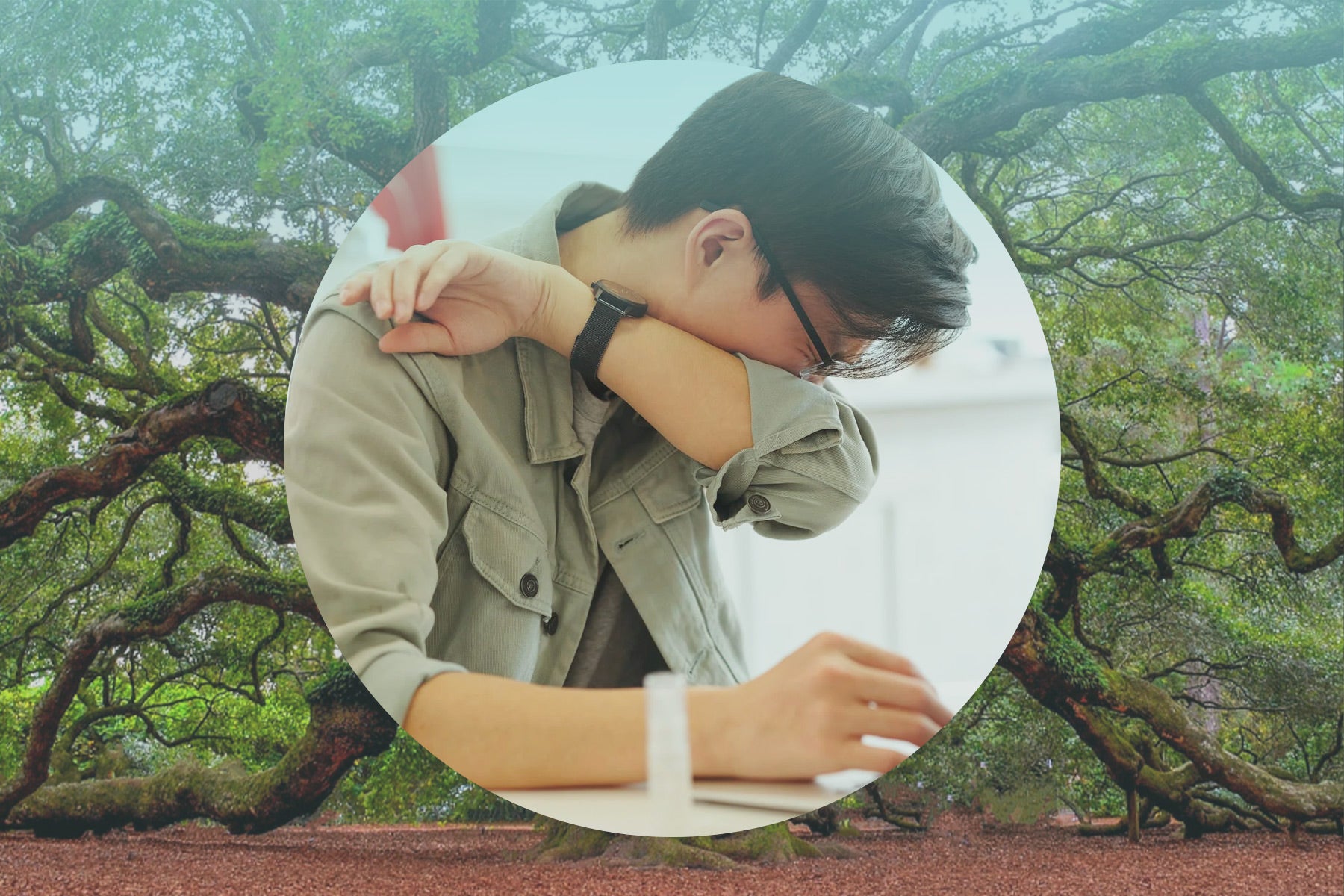 Everything You NEED to Know About Cedar Fever in Texas