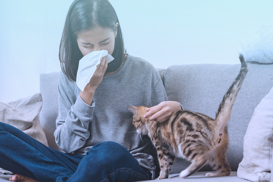 Are At-Home Allergy Tests Worth It?
