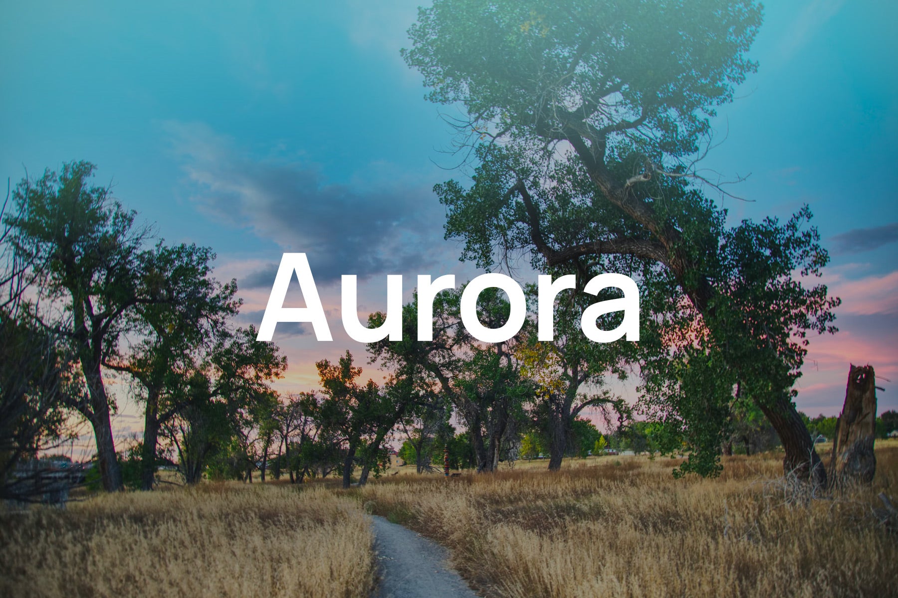 Don’t Let Pollen Allergies in Aurora Hold You Back!