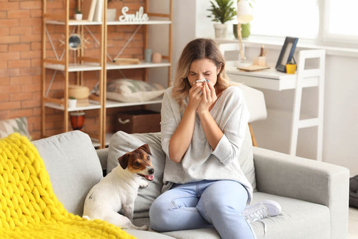 How to Reduce Indoor Allergens in Your Home