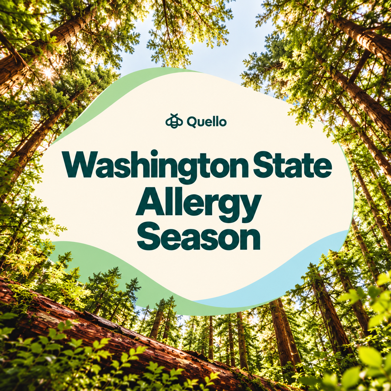 A Survival Guide to Allergy Season in Washington State
