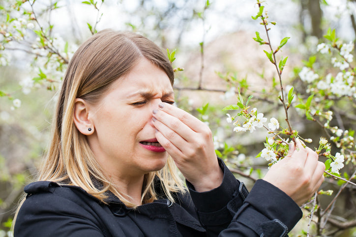 6 Worst Trees For Allergies