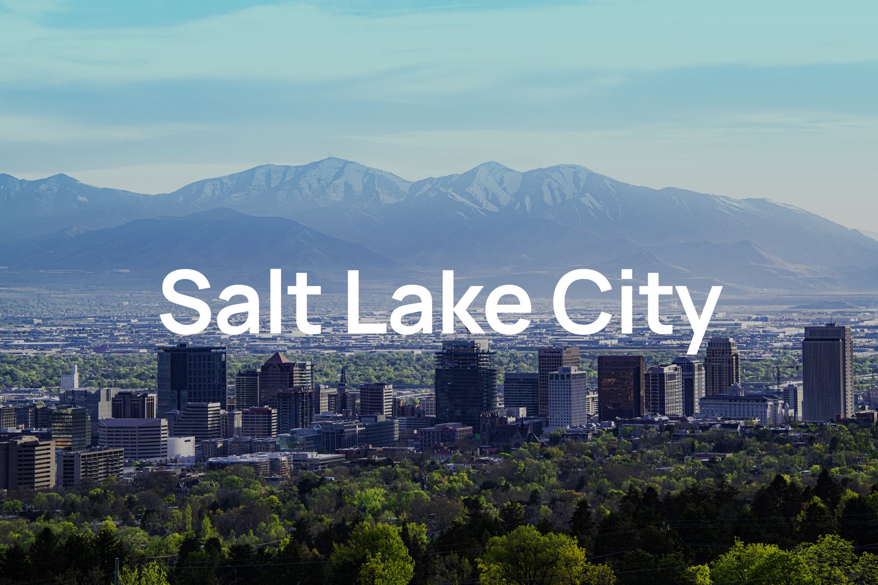Pollen Allergies in Salt Lake City: An Expert Guide